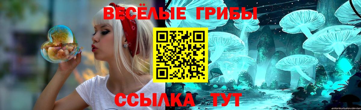 Псилоцибиновые грибы ЛСД  Вход с VPN  Фролово 